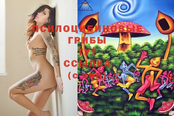 ешки Абинск