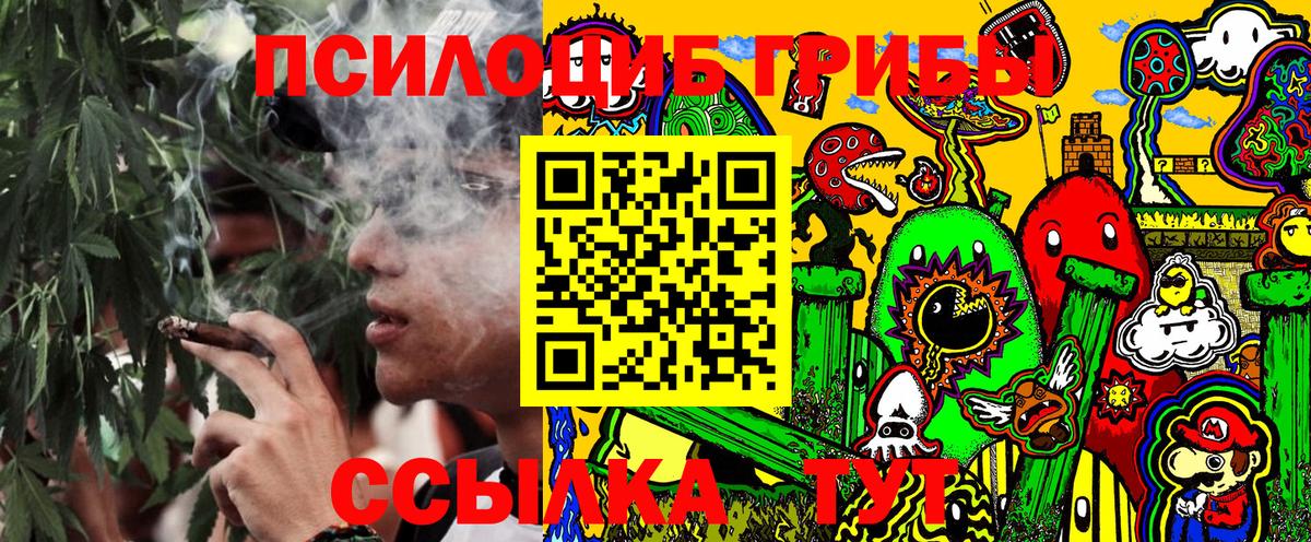 Галлюциногенные грибы Psilocybine cubensis  Псилоцибиновые грибы мицелий  Магнитогорск  Вход с VPN 