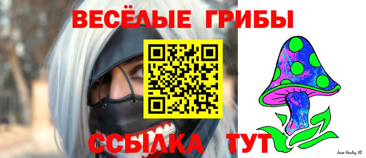 Псилоцибиновые грибы Psilocybine cubensis Магнитогорск