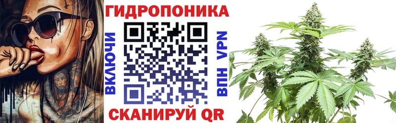 kraken маркетплейс Магнитогорск Шишки марихуана White Widow даркнет сайт
